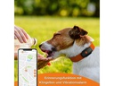 Weenect GPS-Tracker XS für Hunde, Schwarz