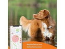Weenect GPS-Tracker XS für Hunde, Weiss