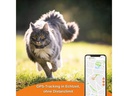 Weenect GPS-Tracker XS für Katzen, Schwarz