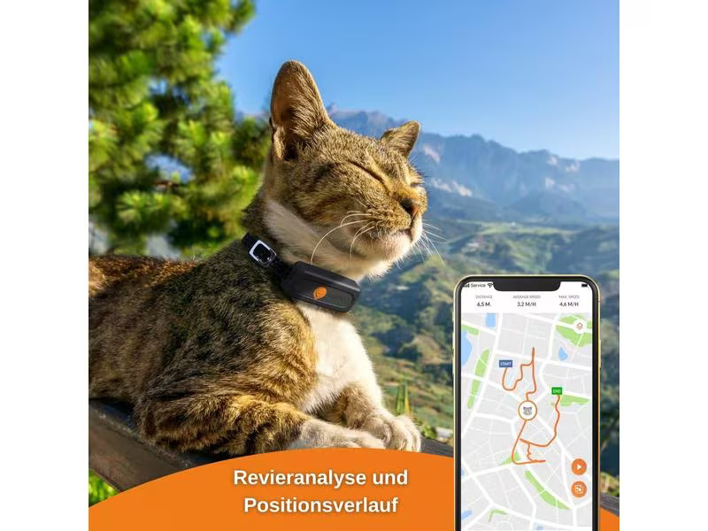 Weenect GPS-Tracker XS für Katzen, Schwarz