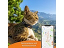 Weenect GPS-Tracker XS für Katzen, Schwarz