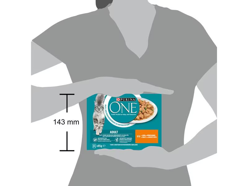 Purina ONE Nassfutter ADULT in Sauce Huhn/Bohnen, 12 x 85g