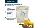 Brandl-Nutrition Pulver Post Workout Banane 1000 g