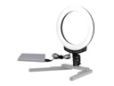 Nanlite Dauerlicht halo 10B