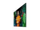 Samsung Public Display QB43C 43