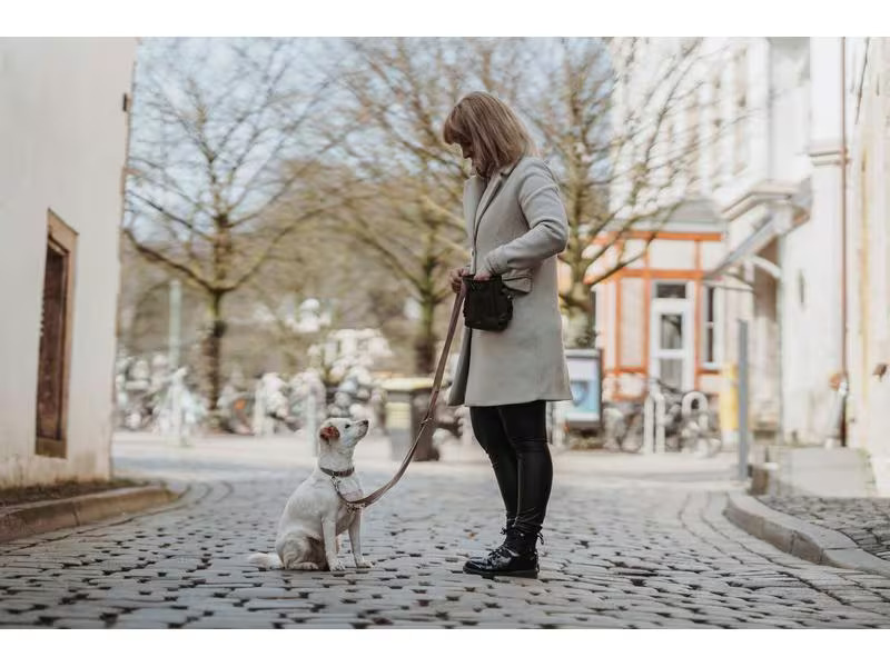 Hunter Verstellbare Führleine Inari, 25/200, Beige