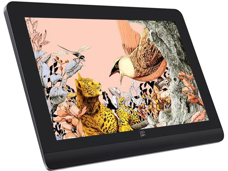 XP-PEN Stift-Display Artist Pro 16 (Gen 2)