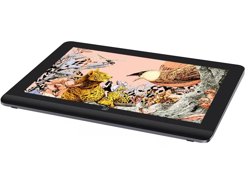 XP-PEN Stift-Display Artist Pro 16 (Gen 2)