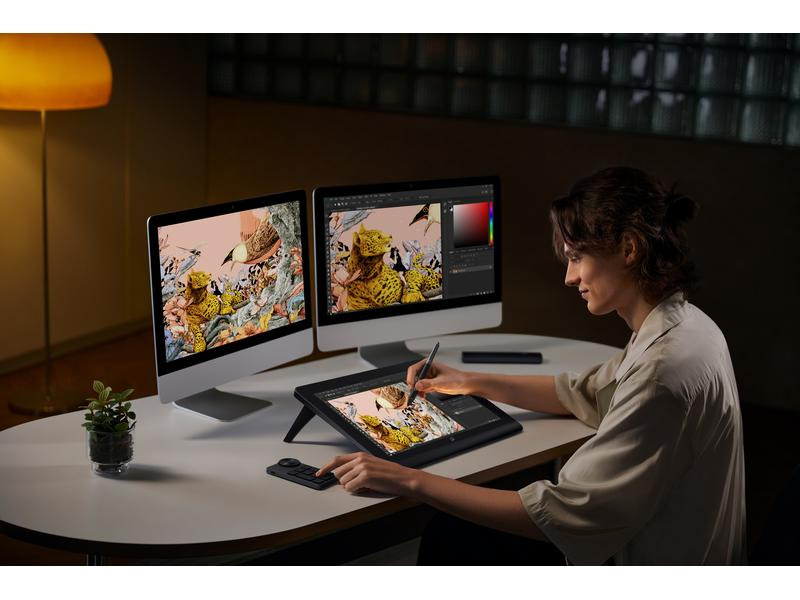 XP-PEN Stift-Display Artist Pro 16 (Gen 2)