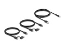 Delock USB-Switch 4x Gerät und 2x Host 5 Gbps
