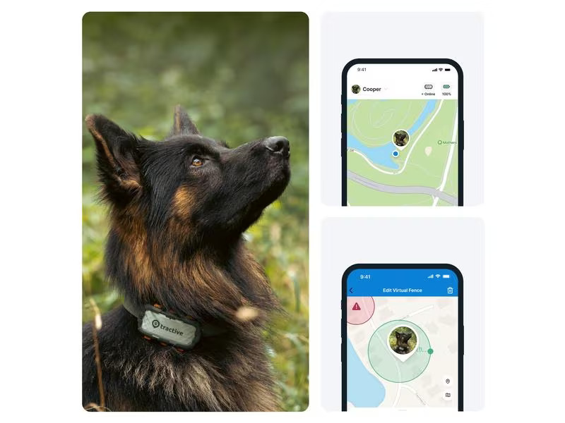 tractive GPS-Tracker DOG XL Adventure Edition, Grau