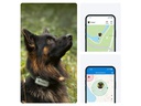tractive GPS-Tracker DOG XL Adventure Edition, Grau