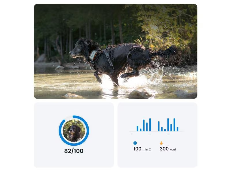 tractive GPS-Tracker DOG XL Adventure Edition, Grau