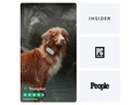 tractive GPS-Tracker DOG XL Adventure Edition, Grau