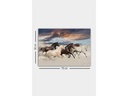 Wallxpert Bild Pferde 50 x 70 cm