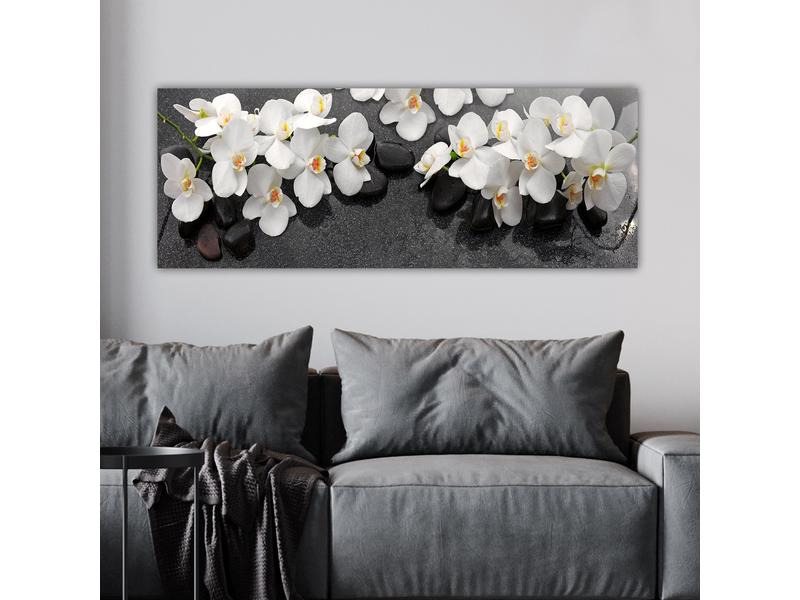 Wallxpert Bild Orchideen 30 x 80 cm
