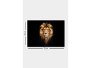 Wallxpert Bild Lion 50 x 70 cm