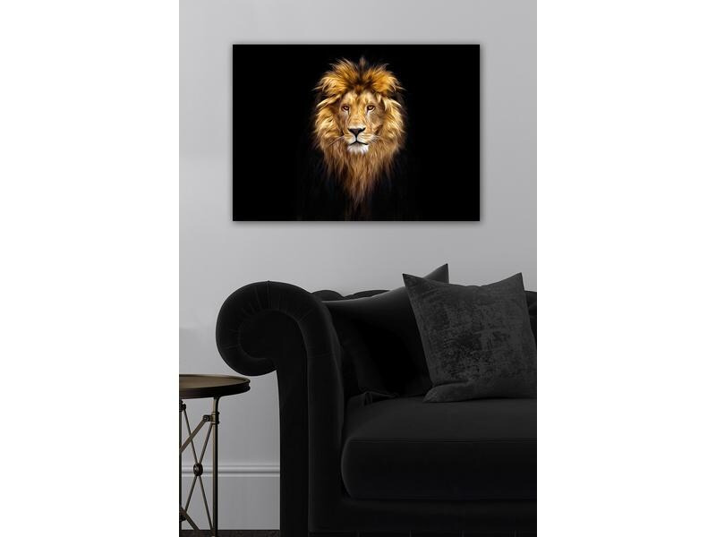 Wallxpert Bild Lion 50 x 70 cm