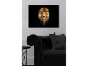 Wallxpert Bild Lion 50 x 70 cm
