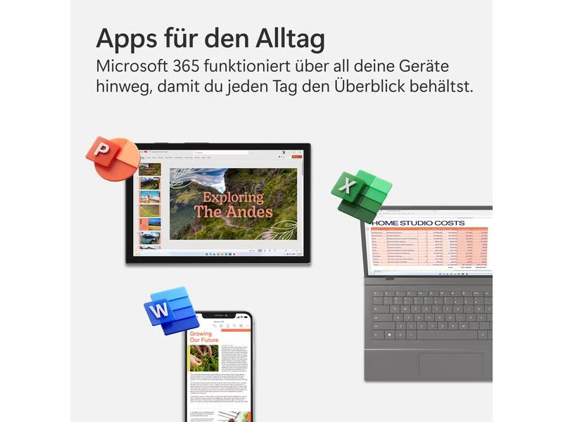 Microsoft 365 Family Box, 6 User, Italienisch