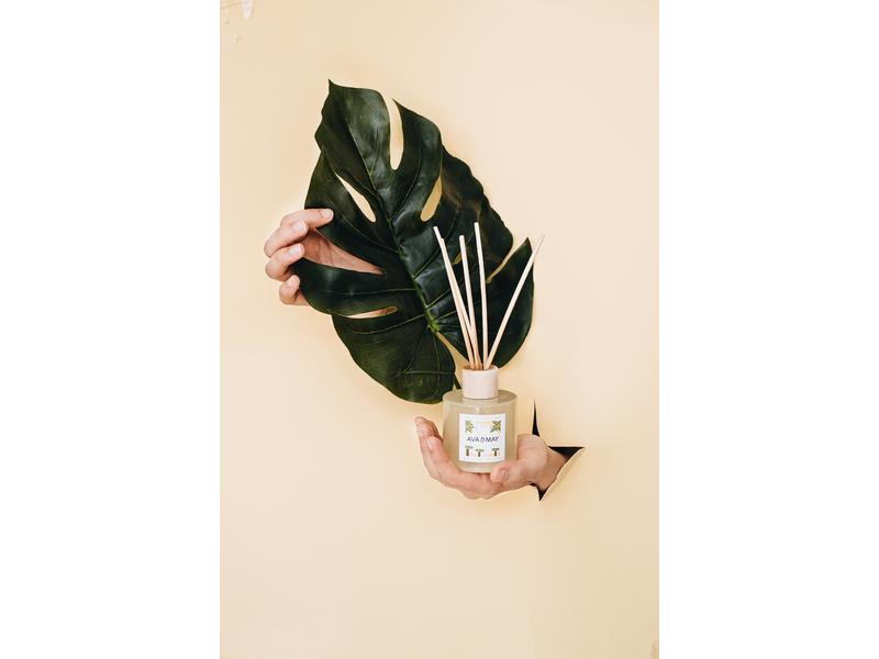 AVA &amp; MAY Duftstäbchen Madagaskar 100 ml