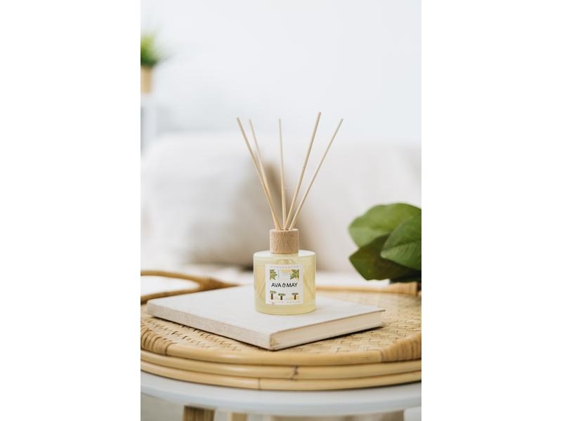 AVA &amp; MAY Duftstäbchen Madagaskar 100 ml