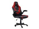Trust Gaming-Stuhl GXT 703R RIYE Rot/Schwarz