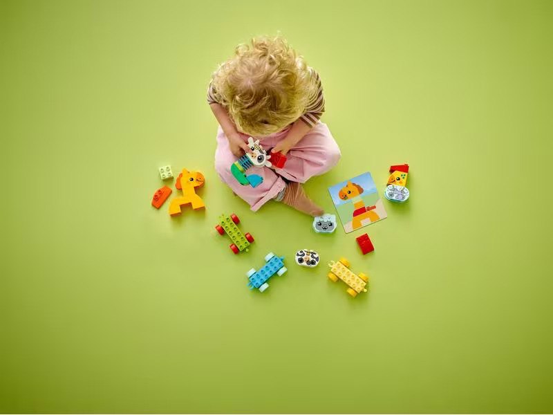 LEGO® DUPLO® Tierzug 10412
