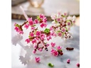 LEGO® Saisonal Kirschblüten 40725