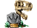LEGO® Jurassic World Dinosaurier-Fossilien: T.-rex-Kopf 76964