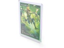 Ultimate Guard Kartenhülle Card Covers Toploading 35 pt 25er-Pack