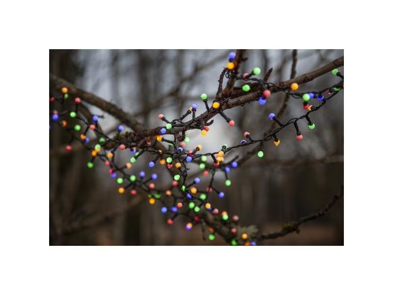 Star Trading LED-Lichterkette Berry Mini, 700 LED, 14 m, Outdoor