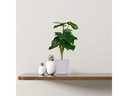 relaxdays Kunstpflanze Monstera 2 Stück, 33 cm