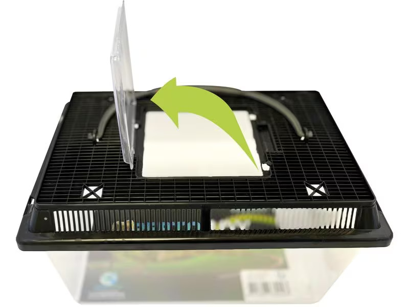 Repto Kunststoffterrarium Breedingbox M, 27 x 17 x 16 cm