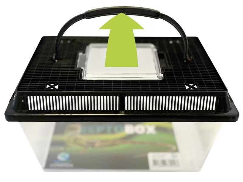 Repto Kunststoffterrarium Breedingbox M, 27 x 17 x 16 cm