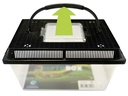 Repto Kunststoffterrarium Breedingbox M, 27 x 17 x 16 cm