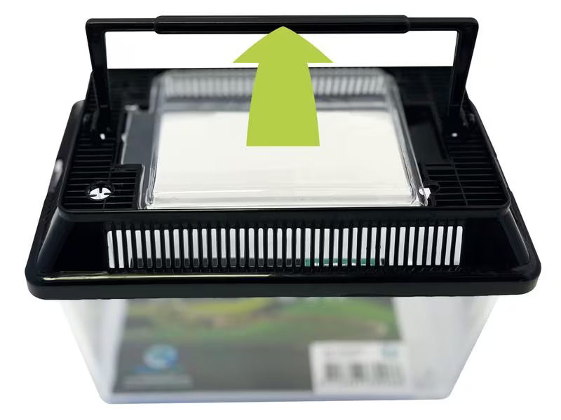 Repto Kunststoffterrarium Breedingbox S, 18 x 11 x 12 cm