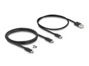 Delock KVM Switch USB-C zu HDMI und DisplayPort 8K MST mit USB 2.0