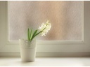 d-c-fix Fensterfolie Ilva 67.5 x 150 cm