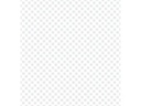 d-c-fix Fensterfolie Ally 67.5 x 150 cm