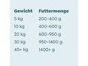 WOW Nassfutter Adult Truthahn, 800 g