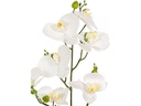 Dekomat AG Kunstpflanze Phaleanopsis im Topf 67 cm
