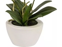 Dekomat AG Kunstpflanze Phaleanopsis im Topf 67 cm