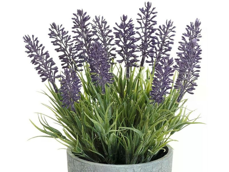 Dekomat AG Kunstpflanze Lavendel im Topf 22 cm