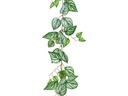 Dekomat AG Kunstpflanze Calatheagirlande 150 cm