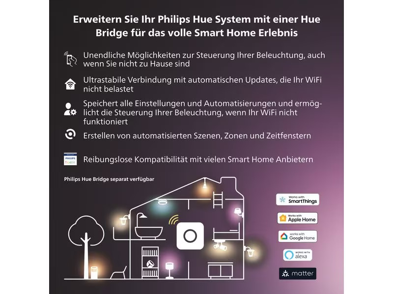 Philips Hue Secure Flutlichtkamera Schwarz