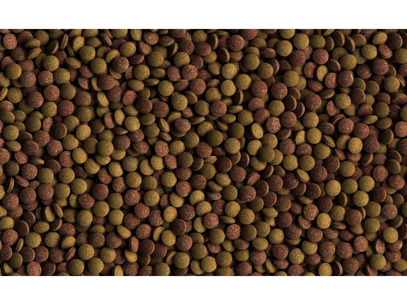 Tetra Basisfutter TabiMin, 2050 Tabs