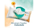 Pampers Feuchttücher Harmonie Calendula 24 x 44 Stk.