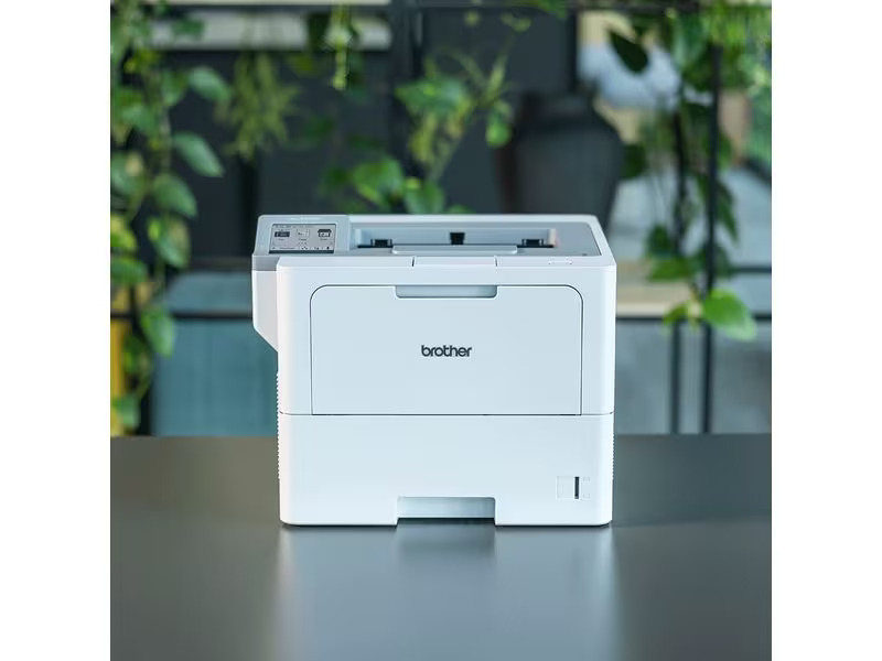Brother Drucker HL-L6410DN