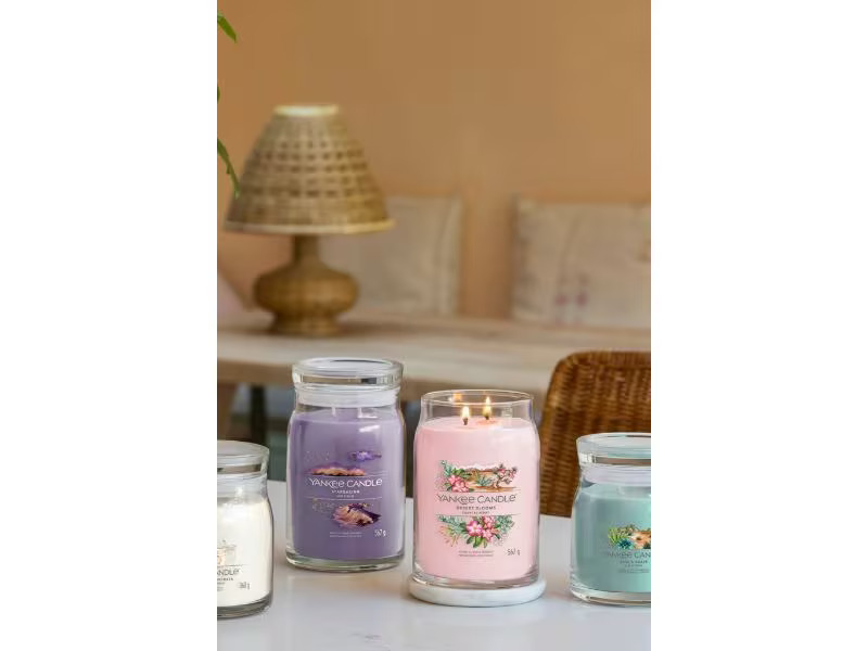 Yankee Candle Signature Duftkerze Sweet Vanilla Horchata Medium Jar